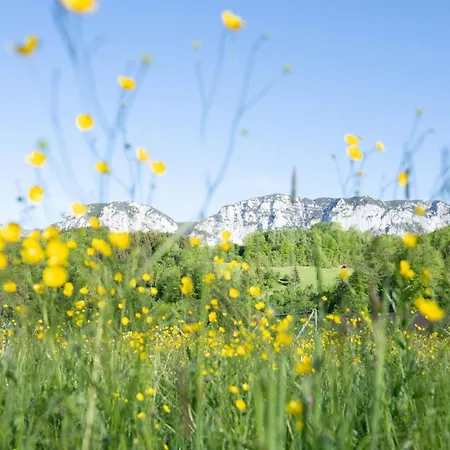 Hanslmann * Steinbach am Attersee